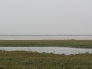 A4AE2D41-FDE0-4270-881C-FCF81B275DB2/L0/001