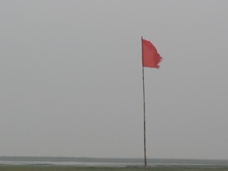 15B8D156-5985-4F74-AADF-09D90EE6BC12/L0/001