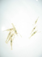 07F78FAC-9E53-408F-AA69-D3B24E48E24C/L0/001