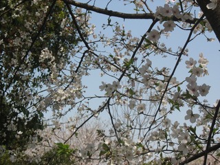 9C908E87-EF1A-4A8D-984C-396BC7571A0E/L0/001