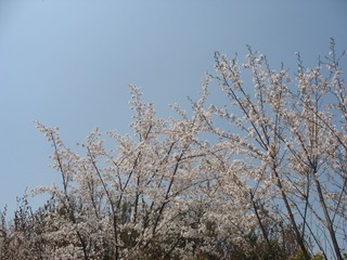 6FBF3B07-8386-4BC8-8E19-F6A07BF39908/L0/001