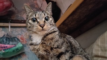 3110