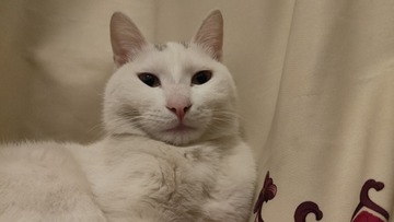 2821