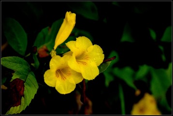200856