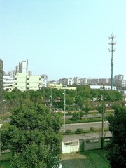 318083