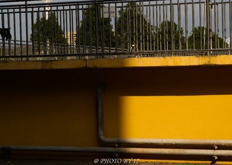 61803