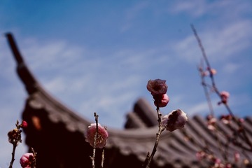 7D4C7719-1E04-4446-938A-03127C2B0AC4/L0/001