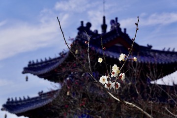 EC768309-5768-4CF5-A70E-2D535F8754A0/L0/001