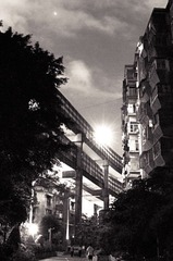 DSC_8621-编辑-编辑.jpg