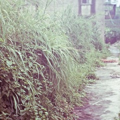 P6242081-编辑.jpg