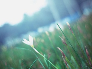 P7292296-编辑.jpg