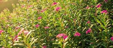 P8012307-编辑.jpg