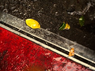 P7242261-编辑-2.jpg