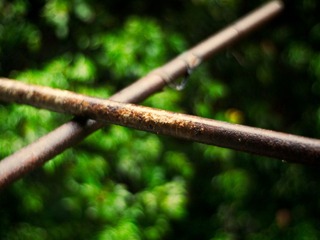 P7262290-编辑.jpg