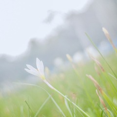 P7292295-编辑.jpg