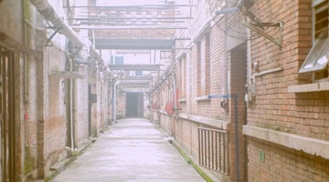 P7292297-编辑-编辑.jpg