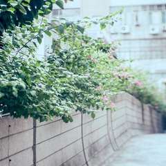P8192430-编辑.jpg