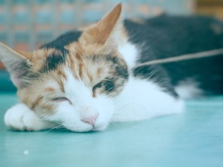 P8192436-编辑.jpg