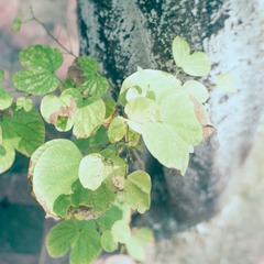 P8212447-编辑.jpg