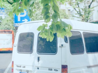 P8212451-编辑.jpg