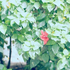 P8212452-编辑.jpg