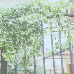 P8212458-编辑.jpg
