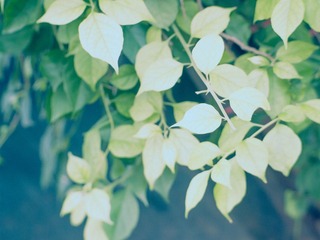 P8212460-编辑.jpg