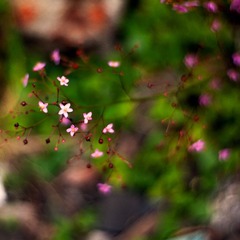 P8252577-编辑.jpg