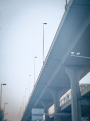 P8252653-编辑-2.jpg