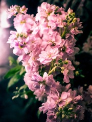 P9212848-编辑.jpg