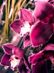 P9212866-编辑.jpg