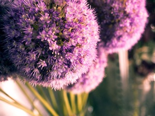 P9212869-编辑.jpg