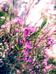 P9212877-编辑.jpg