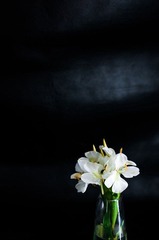 DSC_9909.jpg