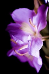 DSC_9941.jpg