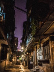 PC140337-编辑-编辑.jpg