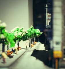 P9212882-编辑.jpg