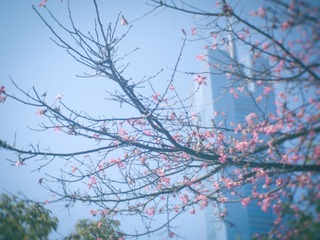 P1070568-编辑.jpg