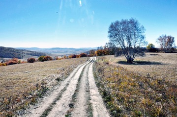 _DSC0098