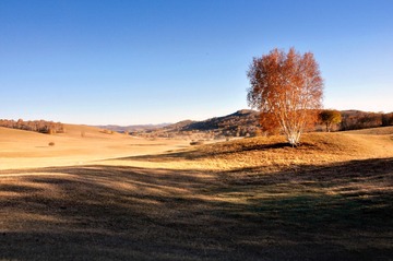 _DSC0111
