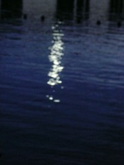 A6A2CDC6-41F6-4AD4-BF5C-3A470D3E2973/L0/001