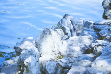 63E6097C-0FB2-4F70-8F00-8E89A4F0F941/L0/001
