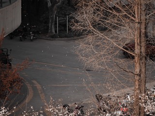 63AB4031-4406-4929-9E16-948ED65C4E8B/L0/001