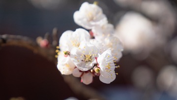 4B940F58-34D1-47B3-A6A6-02ED979D1592/L0/001