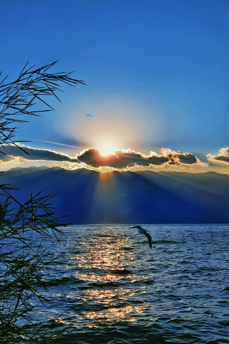 霞光下海鸥掠过海面 - 虚无缥缈7 - 图虫