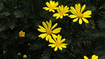 F4D5923A-994A-41BB-8091-37F9A8778843/L0/001