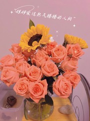 6935195D-86BE-438D-B622-7E0E79A54FB7/L0/001