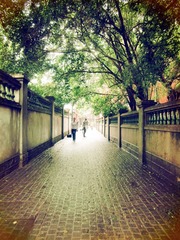 CIMG7702_副本.jpg