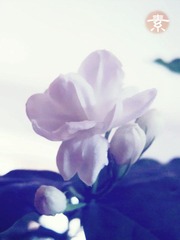 CIMG0525_副本.jpg