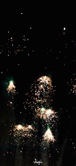 88CC5562-A4FF-41E1-B429-91B34FE75B14/L0/001